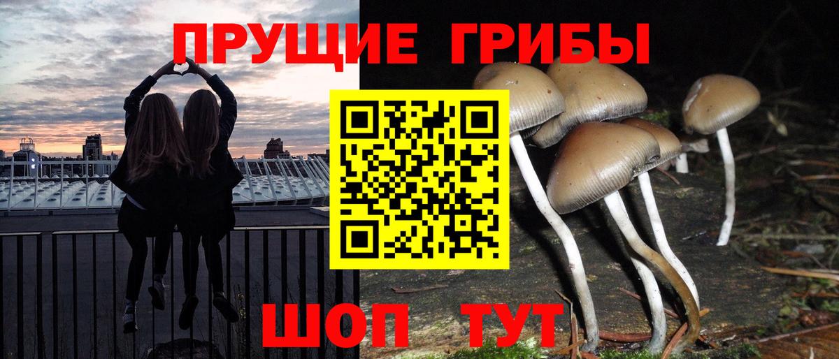 Зерноград  Галлюциногенные грибы MAGIC MUSHROOMS  где можно купить   Вход с VPN 
